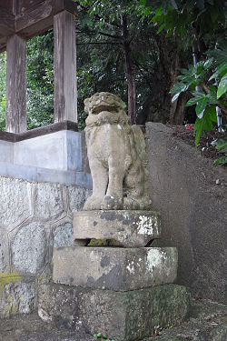 f0007926_1051519.jpg