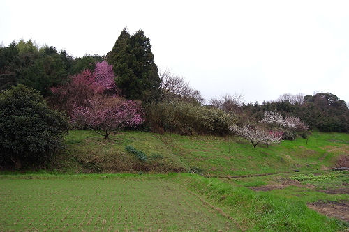 f0007926_10545869.jpg