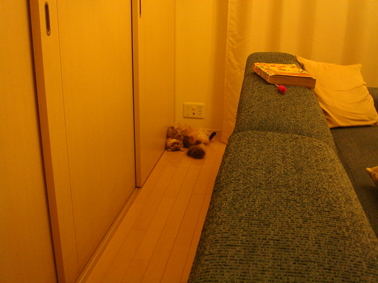 e0157129_18292560.jpg