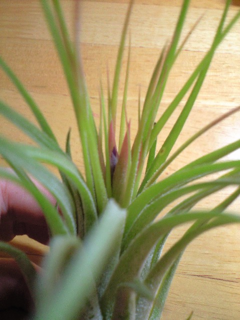 c0223231_18383848.jpg
