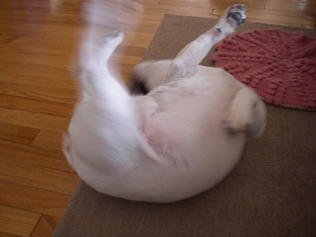 e0008833_18444880.jpg