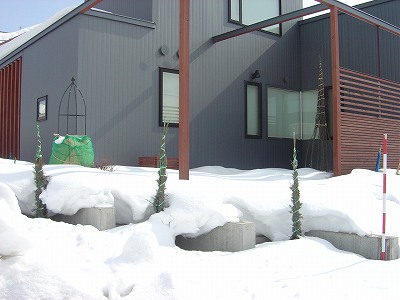 f0205733_10105151.jpg