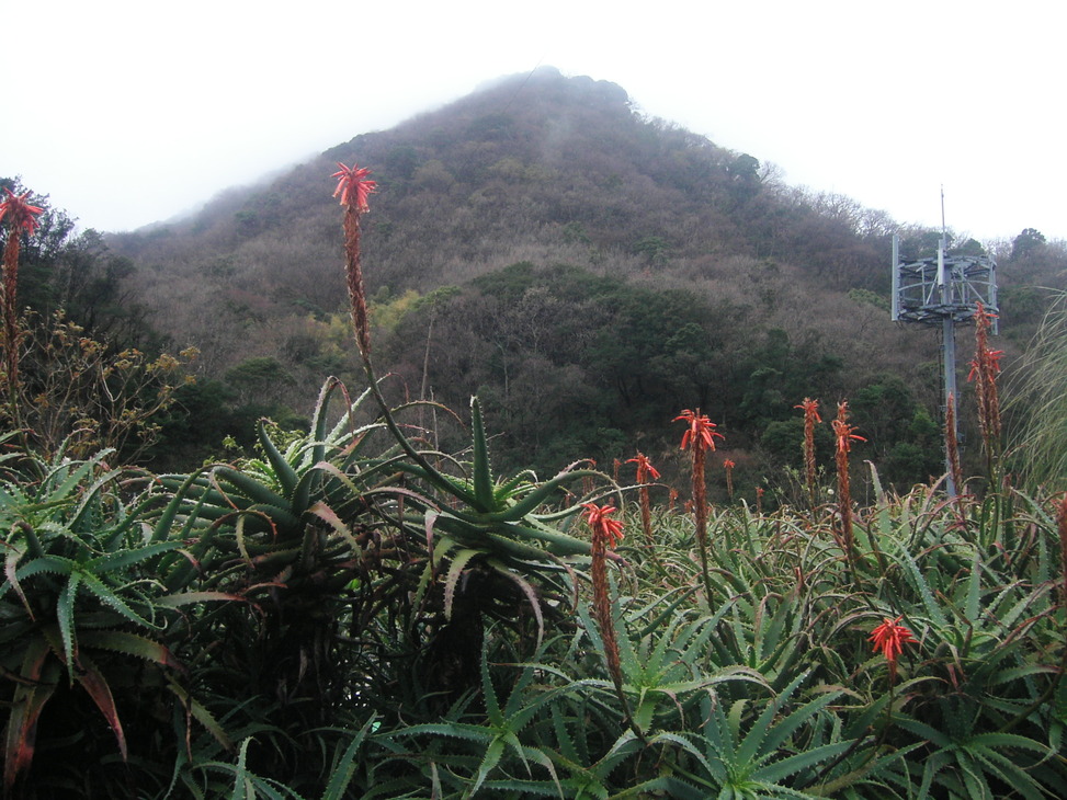 d0013834_11285739.jpg