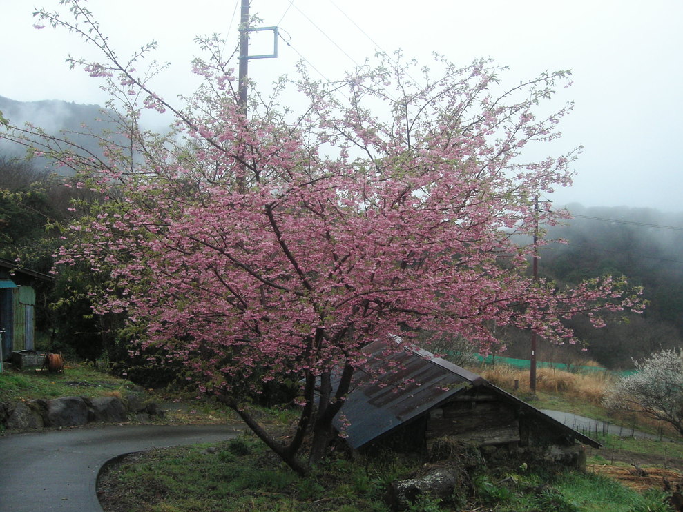 d0013834_11302998.jpg
