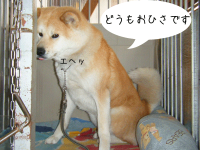 f0008935_16514775.gif