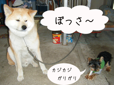 f0008935_1653275.gif
