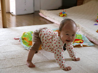 c0080038_2121985.gif