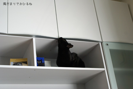 c0132438_21324054.jpg