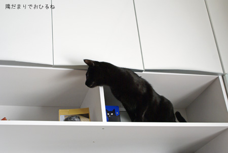 c0132438_2140409.jpg