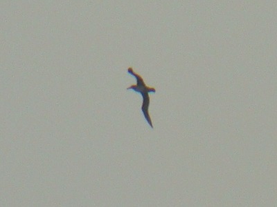 d0146038_1711544.jpg