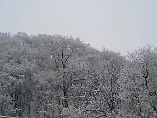 c0117239_11524345.jpg