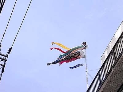 b0019140_1437547.jpg