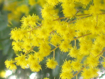 a0115142_0104581.jpg