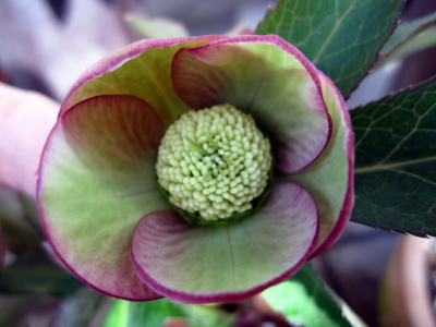 c0147952_2216565.jpg
