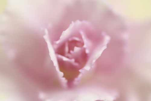 c0020653_0411225.jpg