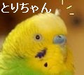 f0196665_084491.jpg