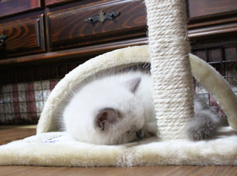f0200666_17325712.jpg