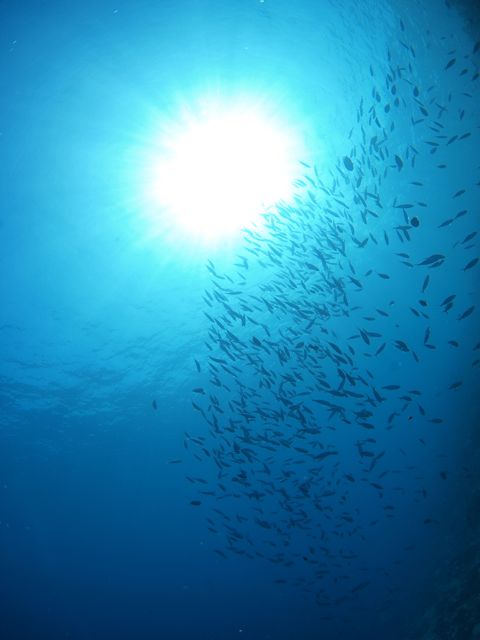 b0138768_21165863.jpg