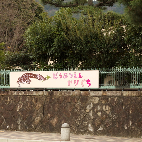 peddyのくまちゃん カメラを持って。 : <b>京都市動物園</b>