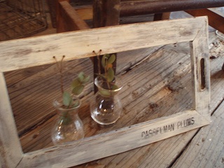 c0214272_2229298.jpg