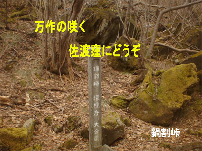 d0126573_21103192.jpg
