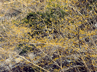 d0126573_212034.jpg