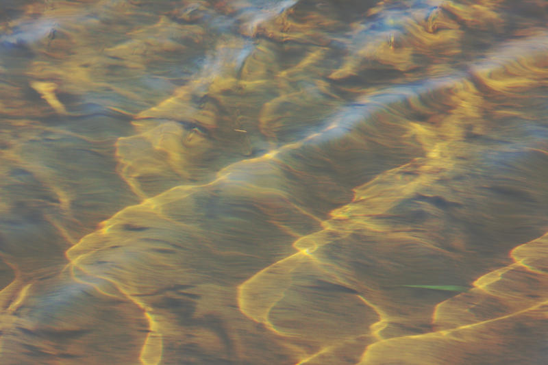 b0083779_743674.jpg