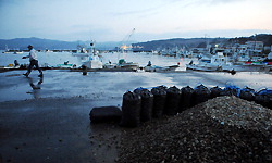d0051179_5453353.jpg