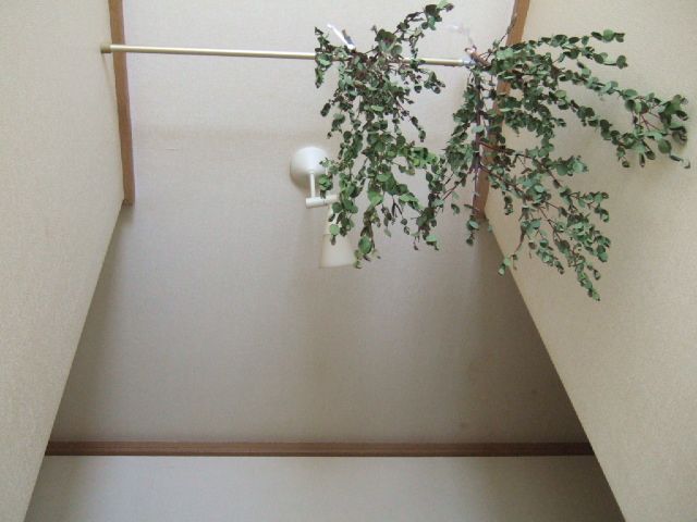 a0111280_1359318.jpg