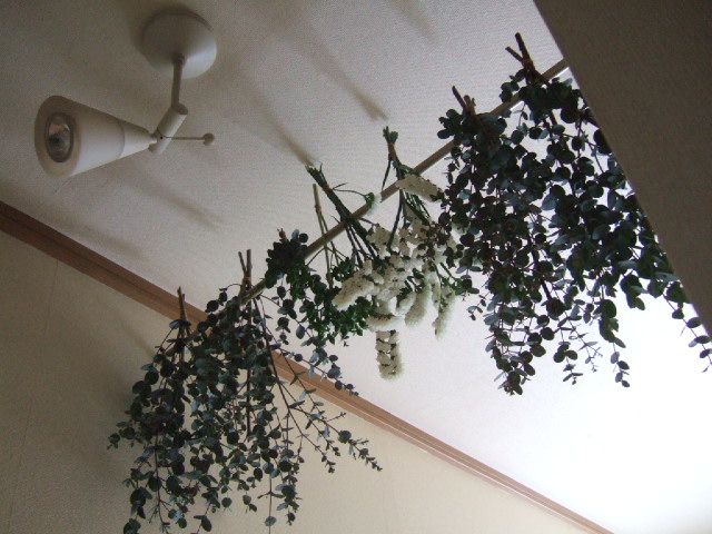 a0111280_1403986.jpg