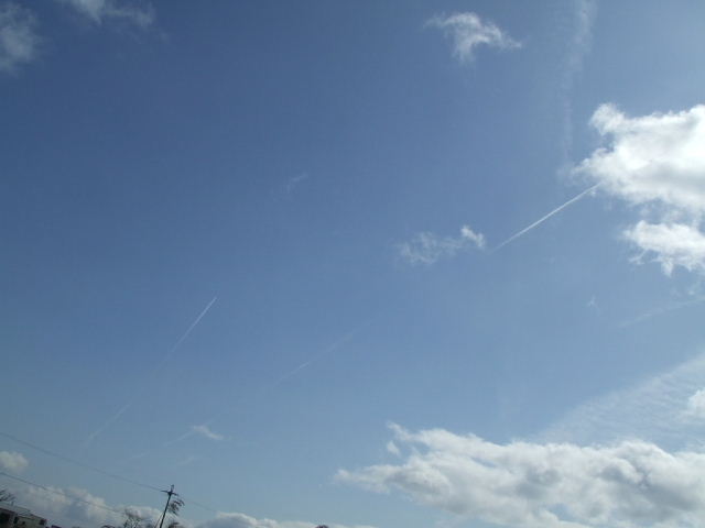 f0005081_9141935.jpg