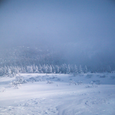 a0053783_20113390.jpg