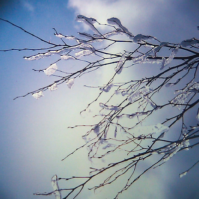 a0053783_20115251.jpg