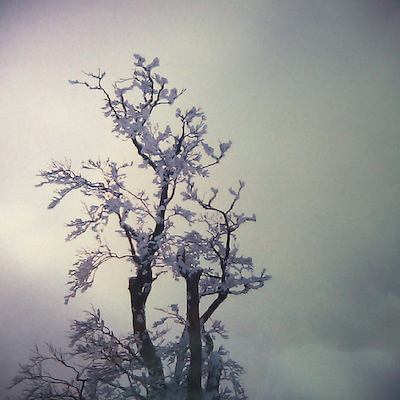 a0053783_2012687.jpg