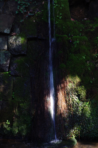 e0108787_2218594.jpg