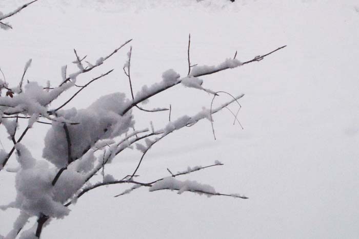 b0142688_902720.jpg