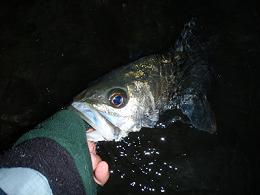 f0069890_16592415.jpg
