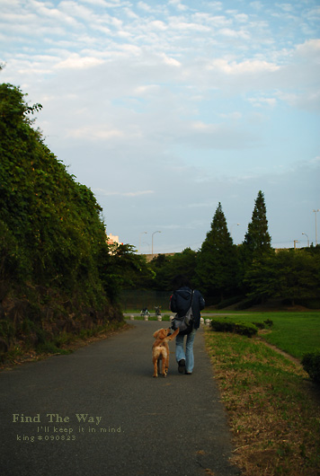 f0054594_622547.jpg