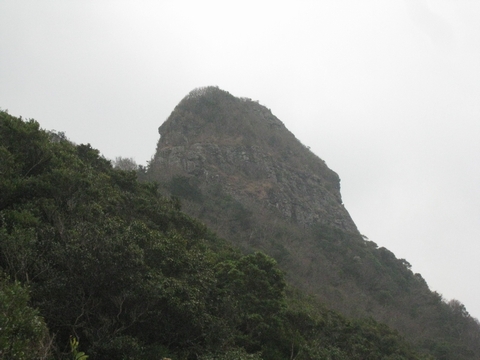 a0166196_1492543.jpg