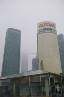 e0019696_1122555.jpg