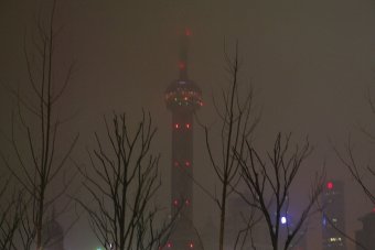 e0019696_2333228.jpg