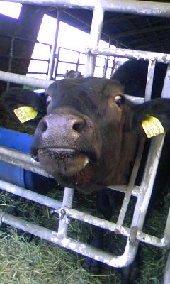 f0032403_2222145.jpg