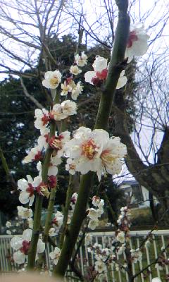 f0032403_22221477.jpg