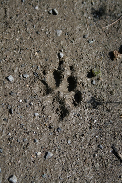 a0122208_2258412.jpg
