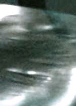 e0103408_13443430.gif