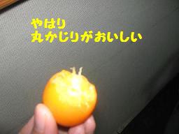 d0104209_950201.jpg