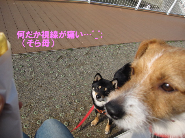 c0185516_1228425.jpg