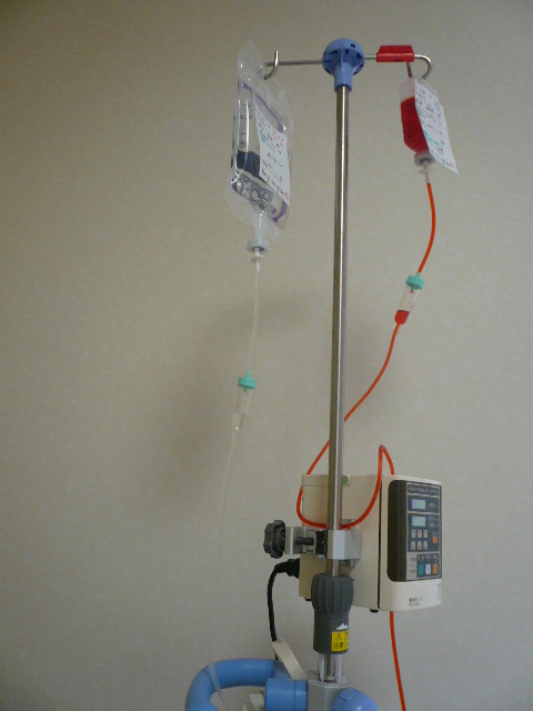 e0026017_13373635.jpg