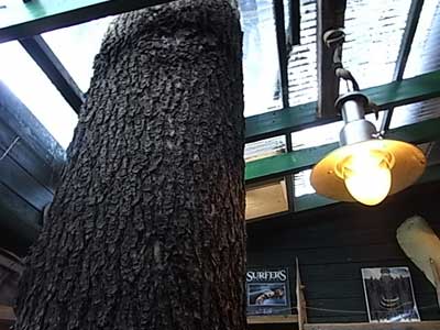 c0164318_061826.jpg