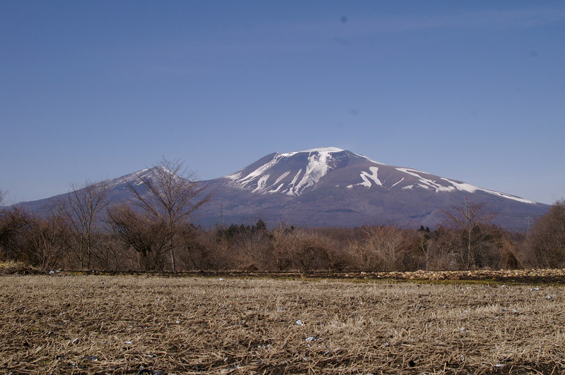 e0136424_8454815.jpg